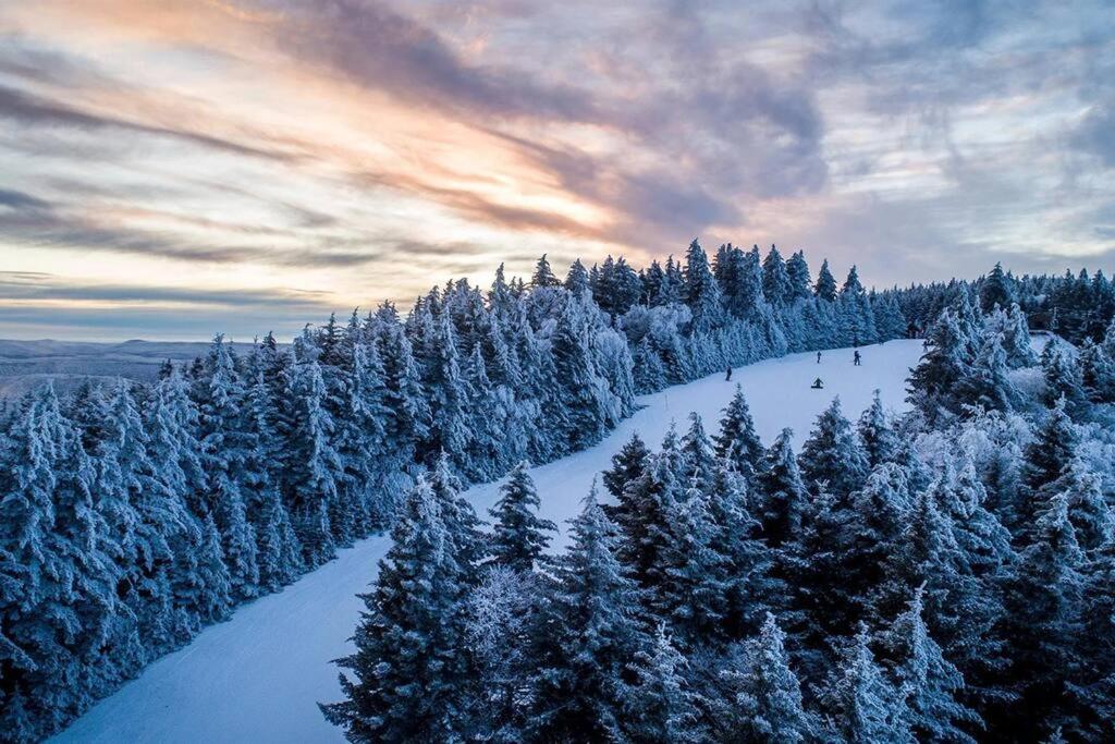 Mountain Lodge Getaway, Ski-In/Ski-Out, Heart Of The Village สโนว์ชู ภายนอก รูปภาพ